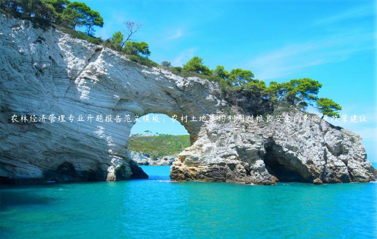 农林经济管理专业开题报告范文模板：农村土地集约利用对粮食安全的影响及政策建议