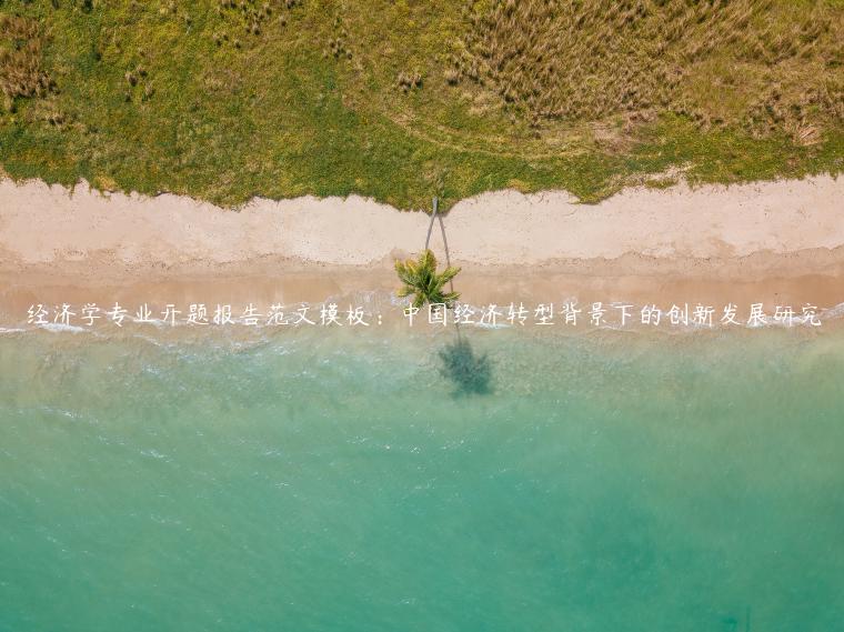 经济学专业开题报告范文模板：中国经济转型背景下的创新发展研究