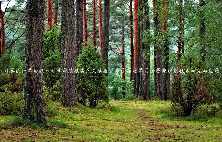 计算机科学与技术专业开题报告范文模板：基于深度学习的图像识别技术研究与应用