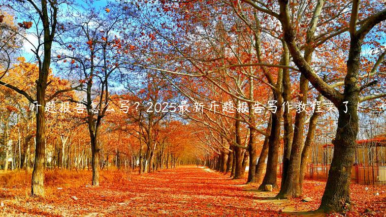 开题报告怎么写？2025最新开题报告写作教程来了！